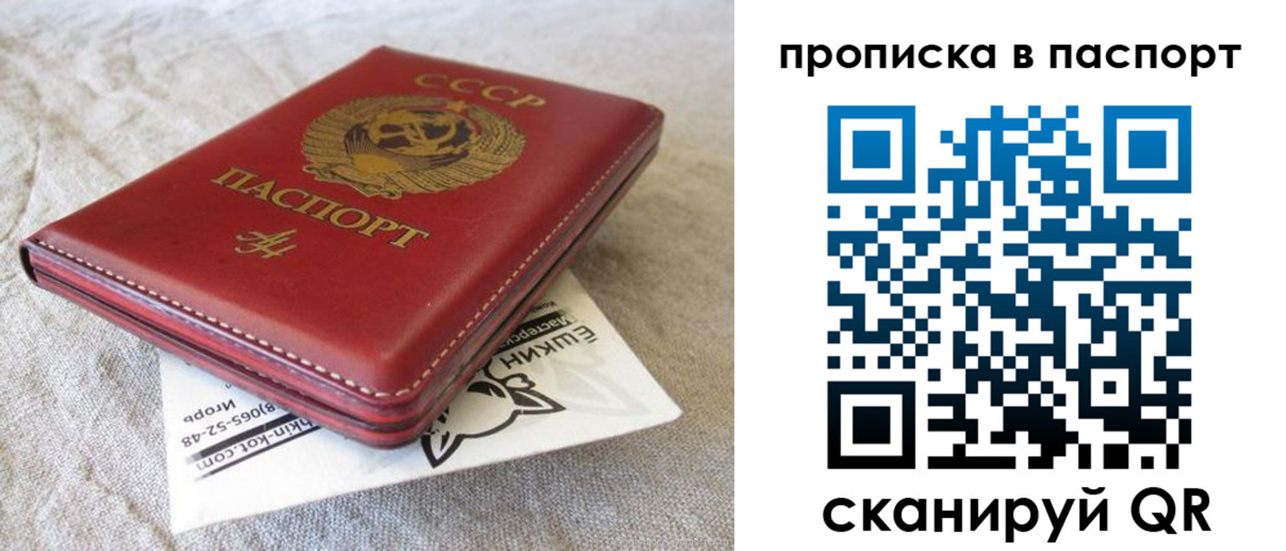 прописка штамп в Владимирской области